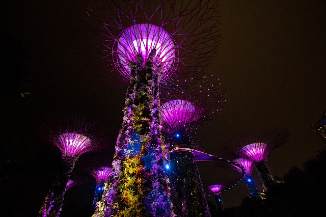 Gardens by the bay-Singapore