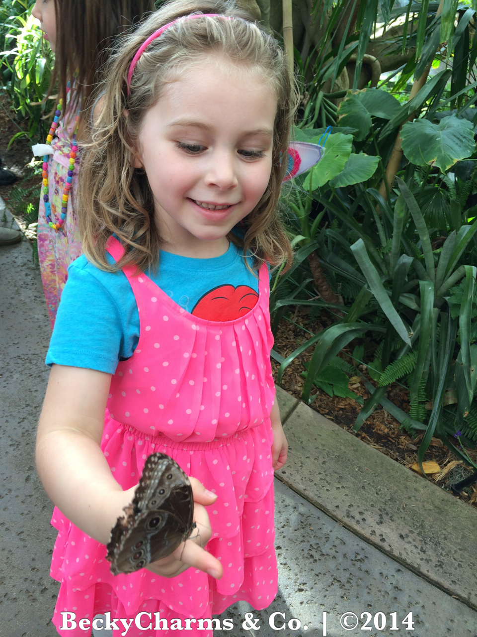 Our Trip to Butterfly Jungle at San Diego Safari Park for Spring Break 2014 by BeckyCharms