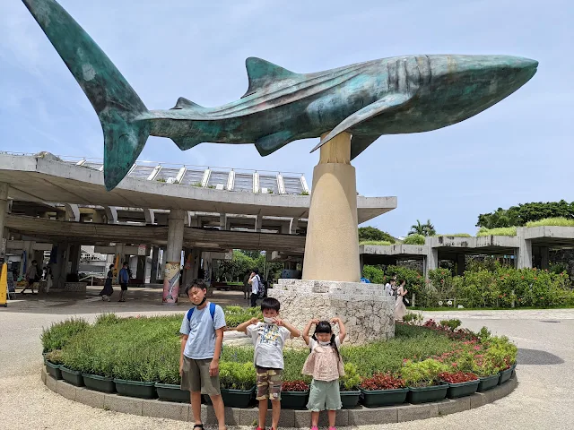 【沖縄旅行】美ら海水族館の魅力は何と言ってもジンベイザメでしょう！