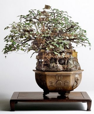 Bonsai Super Keren...!!! | http://poerwalaksana.blogspot.com/