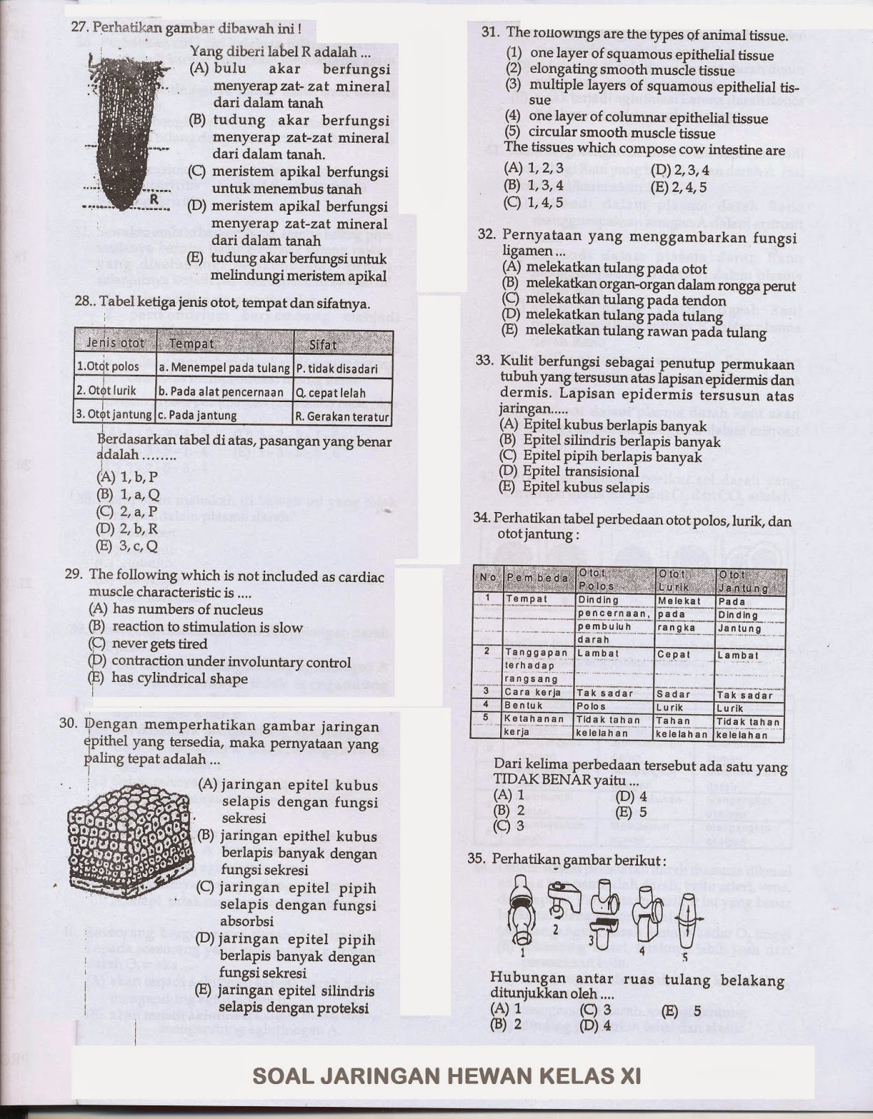 Silahkan dibaca untuk ujian mid semester 1 kelas XI ini sebagai Review materi belajarmu Jika bisa lumayan dah kemampuan bacamu hehehe