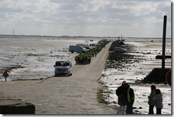 Le Gois (15)