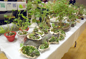 2011 Holiday Craft Fair Vancouver West End Community Centre, ScentedLeaf booth