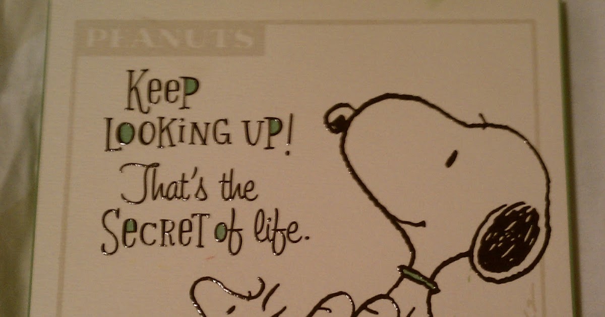 Optimal Optimist The Secret Of Life According To Peanuts