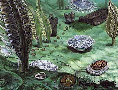 Kepunahan di Jaman Akhir Ediacaran 