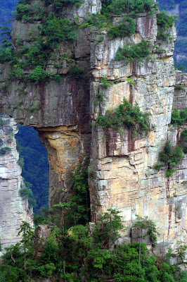 The Avatar Mountains Seen On www.coolpicturegallery.net