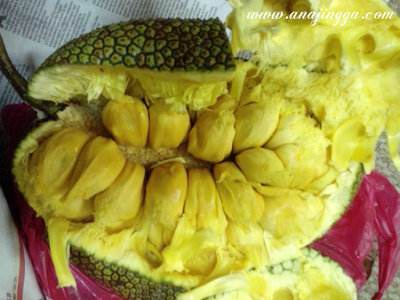 buah cempedak