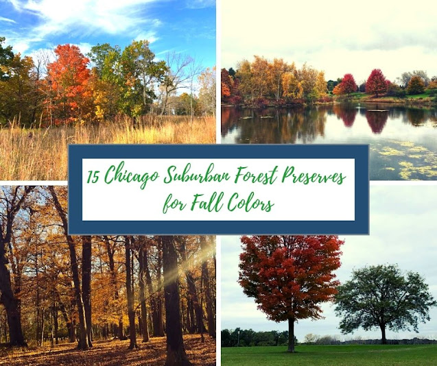 15 Chicago Suburban Forest Preserves for Fall Colors