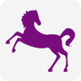 Generalidades en el horoscopo chino. Encuentra tu signo chino. Horoscopo chino gratuito. Aprende mas sobre tu futuro. Conoce que te depara el futuro. Astrología. Ludovica Squirru. Astrologia del 2008. Personalidad del caballo. El signo del caballo. Que le depara el futuro al caballo. conejo, buey, rata, tigre, dragón, serpiente, cabra, mono, gallo, perro, cerdo