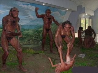 Gambar Manusia Purba Indonesia Fosil Gambar Foto 