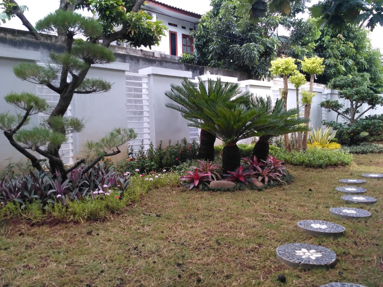 TUKANG TAMAN TUKANG TANAM RUMPUT JUAL TANAMAN HIAS JASA PASANG