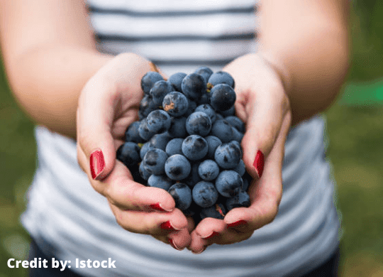 black-grapes-benefits-Of-Our-health