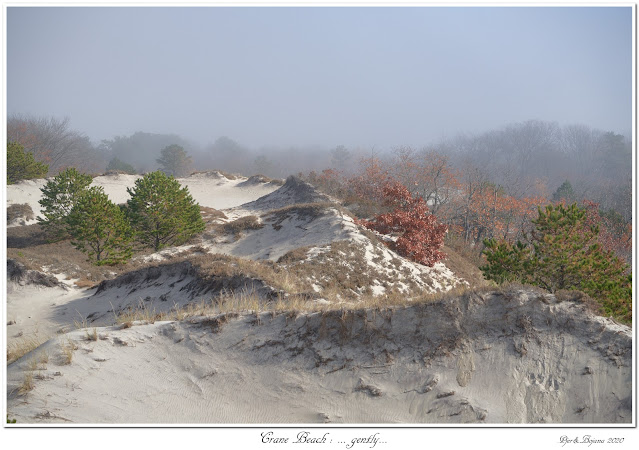 Crane Beach: ... gently...