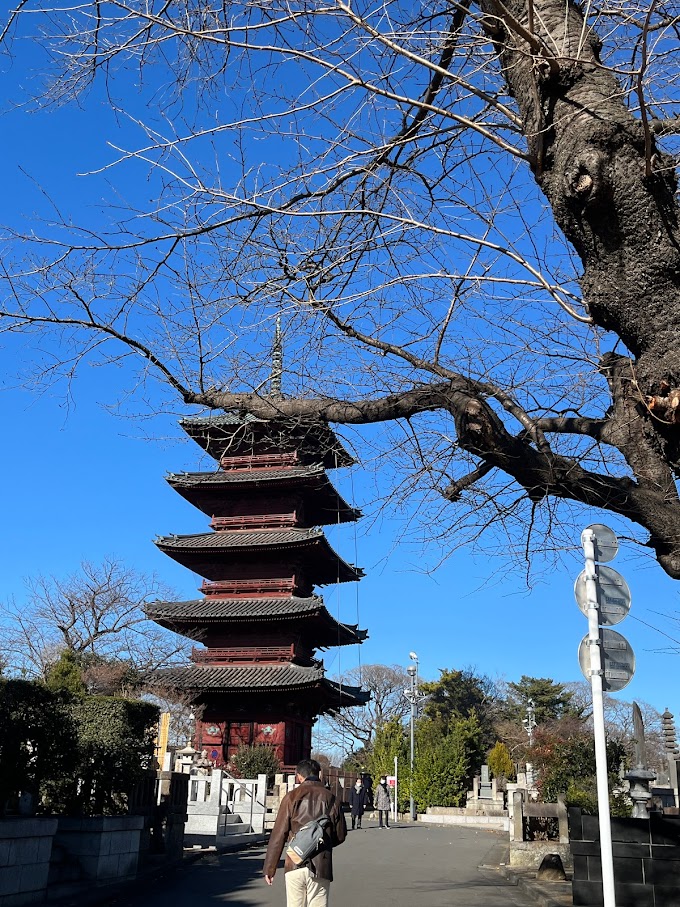 Honmonji Temple at Tokyo