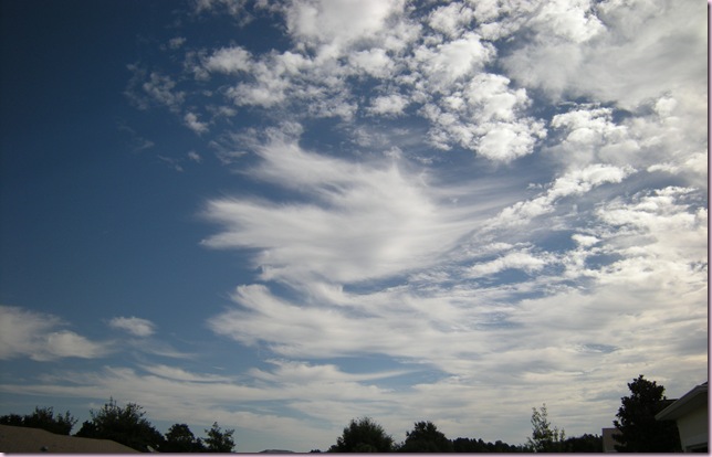 DSCN7765