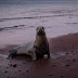  Quinto día en las Islas Galápagos