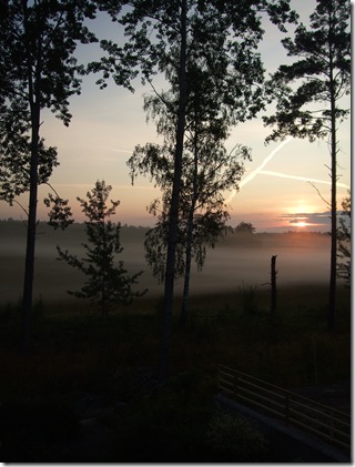 Augusti 2009 002