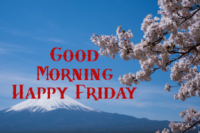 GOOD MORNING HAPPY FRIDAY HD PICTURES  