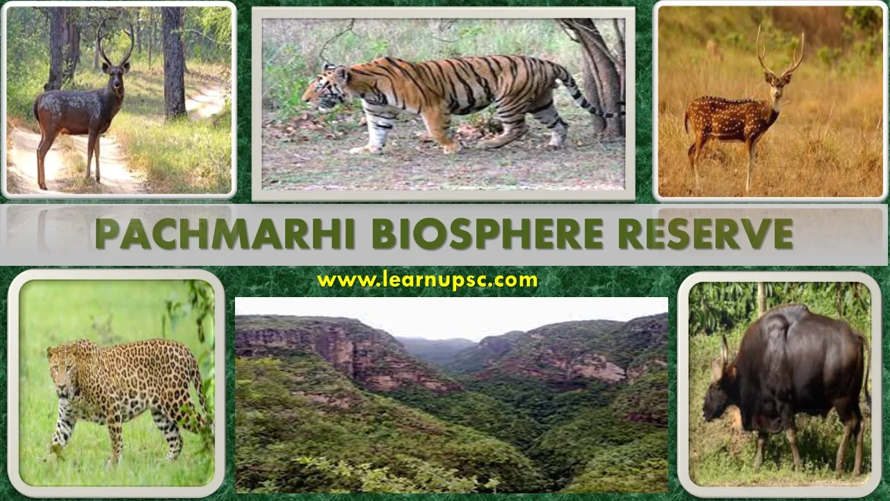 Pachmarhi Biosphere Reserve