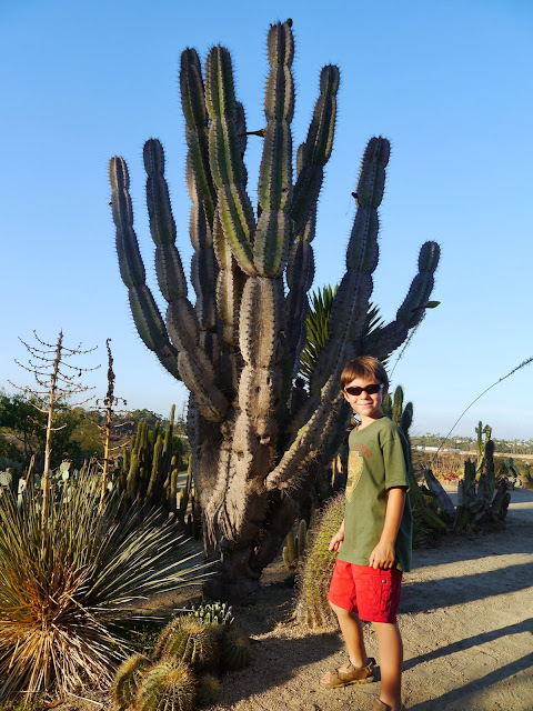 Balboa Park San Diego Cactus garden