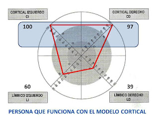 Cerebro - Predominio hemisferio derecho