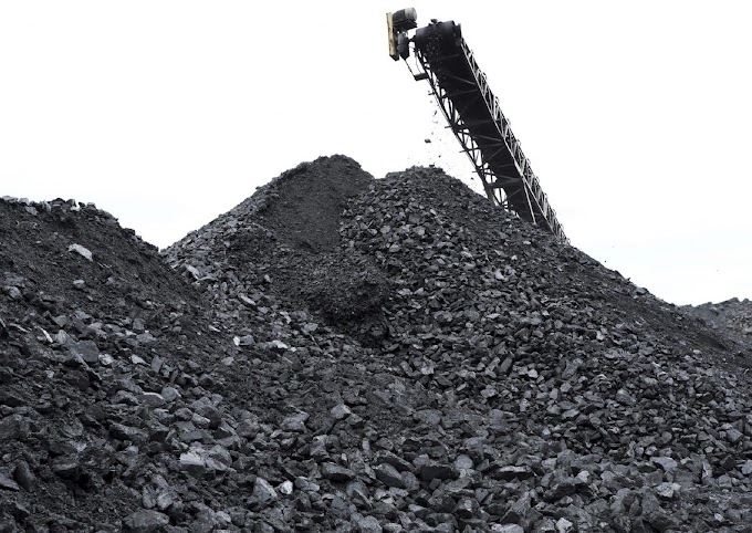 Six coal mines under allotment process: Govt