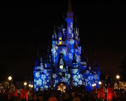Disney world Castle (walt disney world castle )