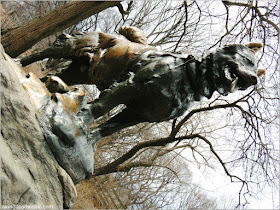 Balco, Central Park en Nueva York