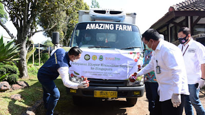 Optimis Pertumbuhan Ekonomi,  Kang Emil Lepas Ekspor Produk Hortikultura Jabar di Masa Pandemi Covid-19