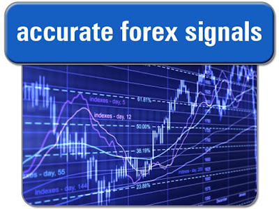 Top Accurate Forex Signal
