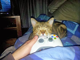 Funny cats - part 91 (40 pics + 10 gifs), cat sleeps on video game pad