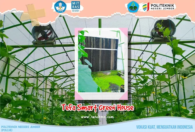 TeFa Smart Green House Polije