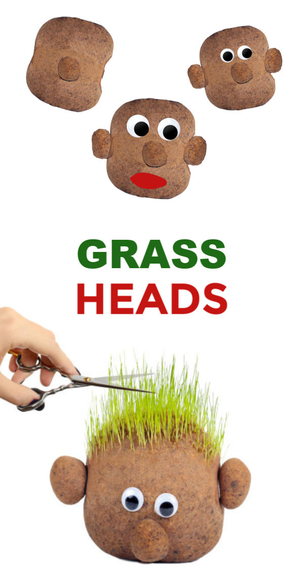 Kids love growing grass seed because it is easy to sprout and grows quickly.  These growing grass heads are super fun for spring & kids can even style their plant person's hair! #grassheadsforkids #grassheads #grassheadcraft #grasshaircupskids #kidsgardencrafts #springcrafts #gardeningforkidspreschool