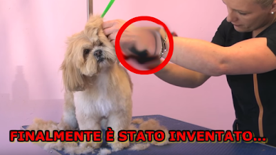 Aspirapeli Per cani