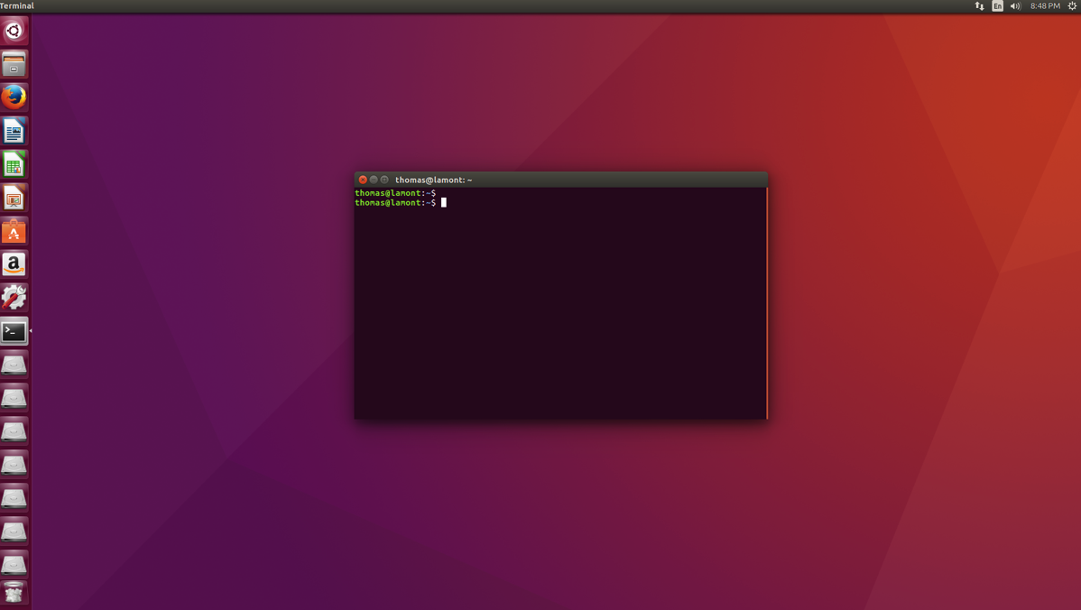 The Ubuntu Linux terminal ready for editing