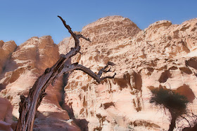 Petra_Guia_Jordania