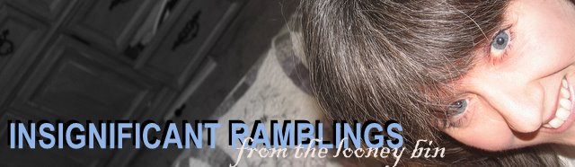 Insignificant Ramblings from the Looney Bin