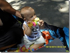dezembro 2010 018