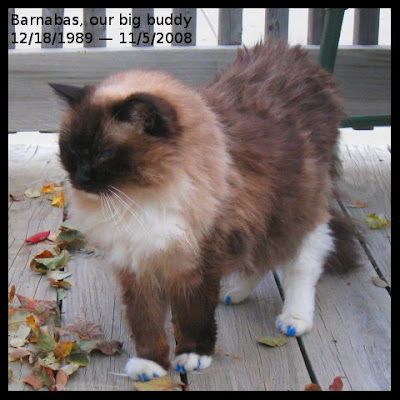 Barnabas, our big buddy. 12/18/1989-11/5/2008