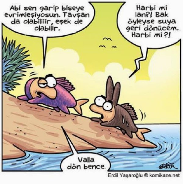 kavimler göçü karikatür ile ilgili görsel sonucu