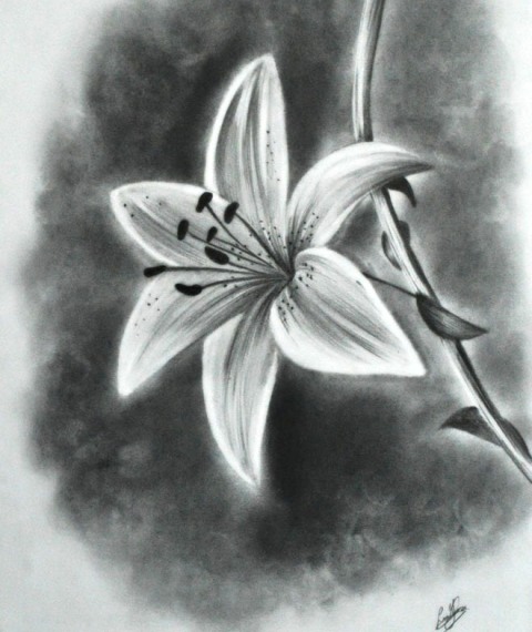 Pictures Of Pretty Flowers To Draw