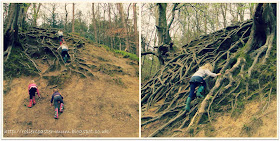 Tree root climbing frame at National Trust Waggoners Wells