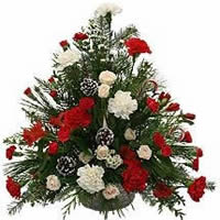  Christmas Day Fresh Flower Deliveries