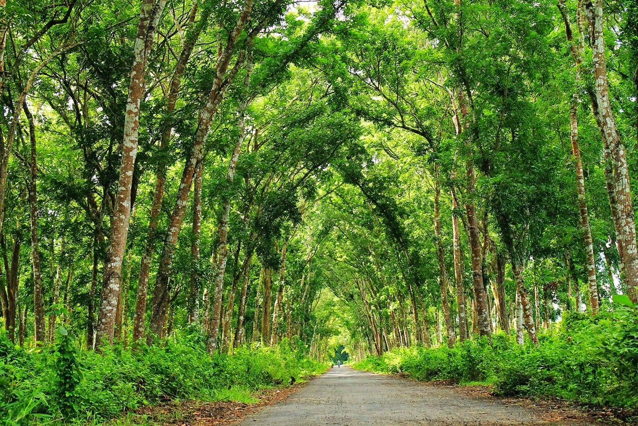  Pemandangan  Indah  Di INDONESIA Katakan dan Ceritakan