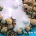 Salada de grãos de bico e trigo ao molho tahine