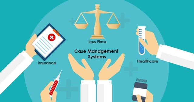 cost-effective case management system software programs