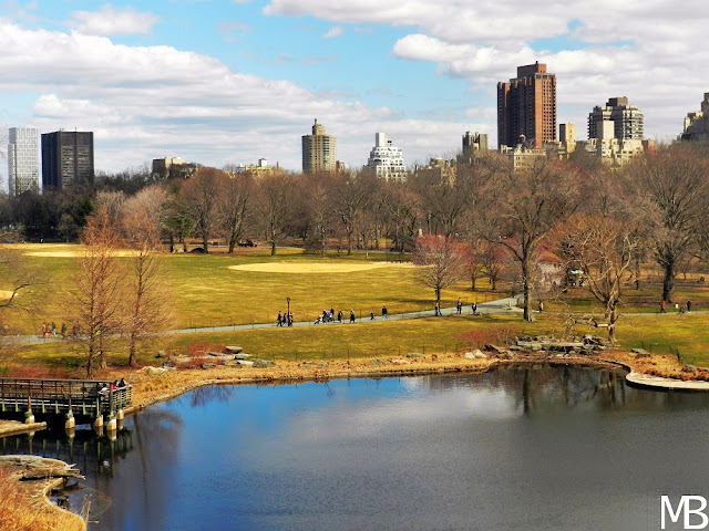 central park new york