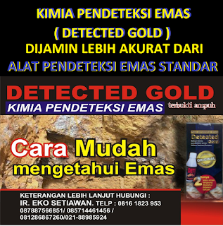 ALAT PENDETEKSI EMAS PENCARI EMAS