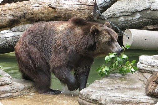 The Denver Zoo