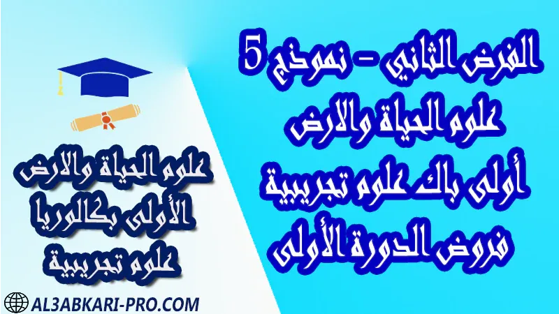 فروض محلولة مادة علوم الحياة والارض فرض فروض مصححة الدورة الأولى الفرض الثاني أولى باك علوم تجريبية الأولى بكالوريا بكالوريا البكالوريا اولى باكالوريا باك  درس ملخص أنشطة تمارين وثائق جذاذات مادة علوم الحياة والارض علوم الحياة و الارض أولى باك علوم تجريبية الأولى بكالوريا البكالوريا اولى باكالوريا مادة علوم الحياة والارض مستوى أولى باك علوم تجريبية اولى باك الأولى بكالوريا أولى بكالوريا البكالوريا باكالوريا موقع التعليم عن بعد  مواقع دراسة عن بعد منصة التعليم عن بعد منصات التعليم عن بعد التعليم عن بعد مجانا برامج التعليم عن بعد مجانا التعليم عن بعد مجاناً افضل مواقع التعليم عن بعد مجانا منصات التعليم عن بعد مجانية منصات تعليم عن بعد